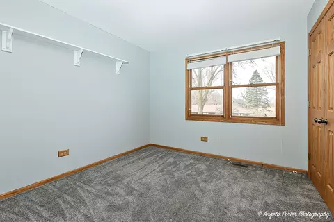 4208 Florence Dr, Johnsburg, IL 60051 photo 17