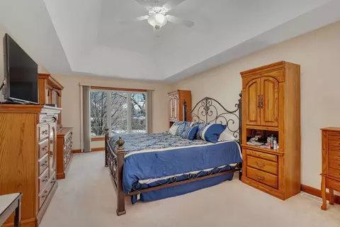 15920 Hometown Dr, Plainfield, IL 60586 photo 21