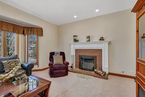 15920 Hometown Dr, Plainfield, IL 60586 photo 17