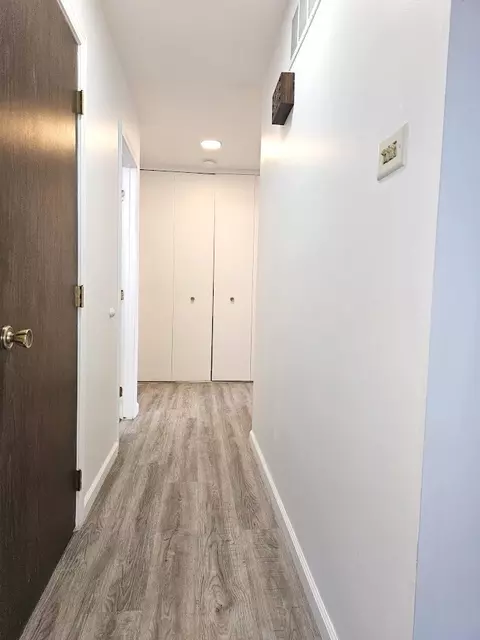 Entry Way - 4208 Sumter Dr, Matteson, IL 60443 photo 2 of 2