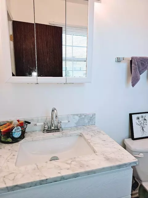 Bath - 4208 Sumter Dr, Matteson, IL 60443 photo 2 of 6