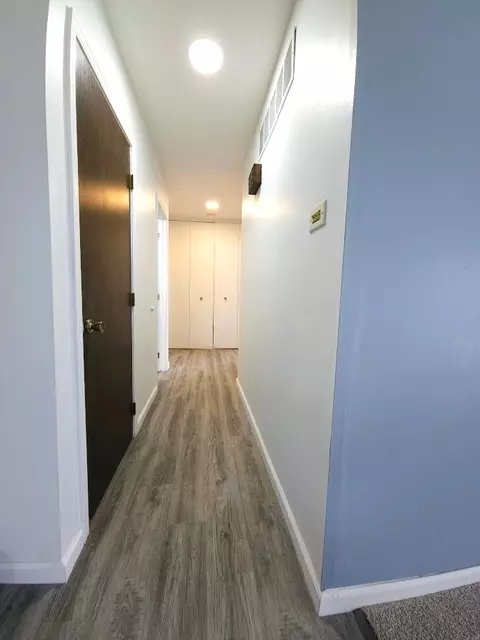 Entry Way - 4208 Sumter Dr, Matteson, IL 60443 photo 1 of 2
