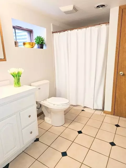 Bath - 4208 Sumter Dr, Matteson, IL 60443 photo 5 of 6