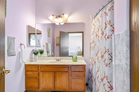 Bath - 21556 W Empress Ln, Plainfield, IL 60544 photo 1 of 2