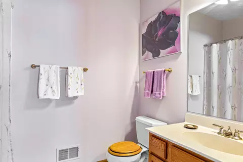 Bath - 21556 W Empress Ln, Plainfield, IL 60544 photo 2 of 2