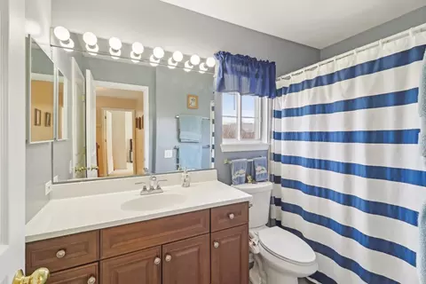 473 Snow Drift Cir, Bartlett, IL 60103 photo 18