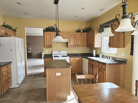 Kitchen - 21453 W Juniper Ct, Plainfield, IL 60544 photo 1 of 2