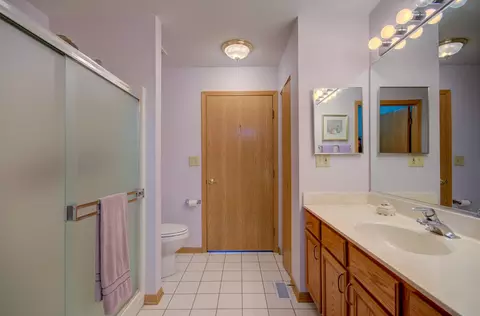 Bath - 1732 Willow Circle Dr, Crest Hill, IL 60403 photo 1 of 3