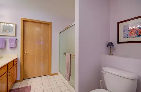 Bath - 1732 Willow Circle Dr, Crest Hill, IL 60403 photo 2 of 3