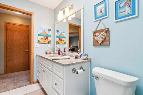 231 Central Rd, New Lenox, IL 60451 photo 23