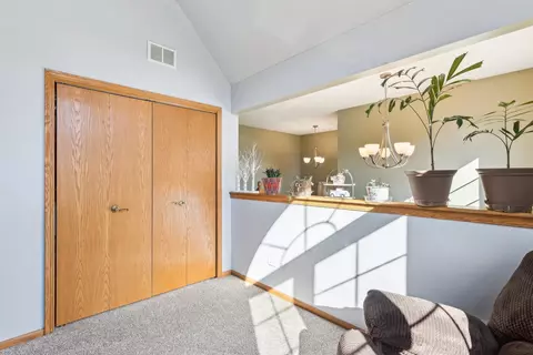 231 Central Rd, New Lenox, IL 60451 photo 40