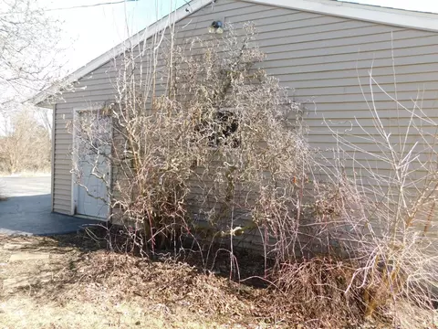 2391 E Montague Rd, Byron, IL 61010 photo 23
