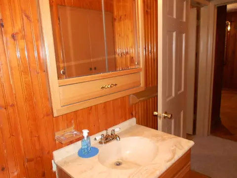 Bath - 506 E 8th St, Minonk, IL 61760 photo 3 of 4