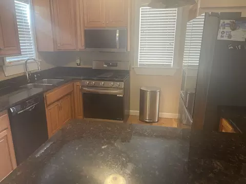 10544 S Springfield Ave, Chicago, IL 60655 photo 14