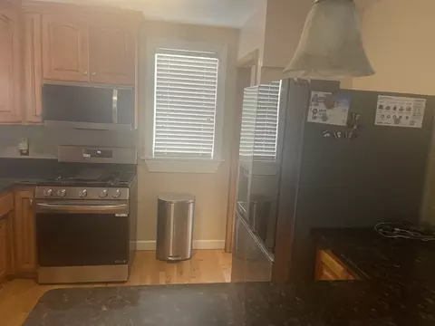10544 S Springfield Ave, Chicago, IL 60655 photo 11