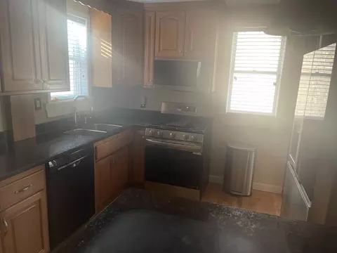 10544 S Springfield Ave, Chicago, IL 60655 photo 10