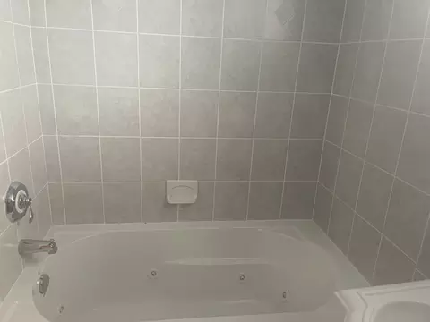10544 S Springfield Ave, Chicago, IL 60655 photo 28