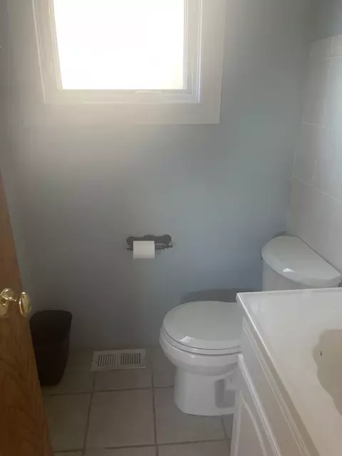 10544 S Springfield Ave, Chicago, IL 60655 photo 19