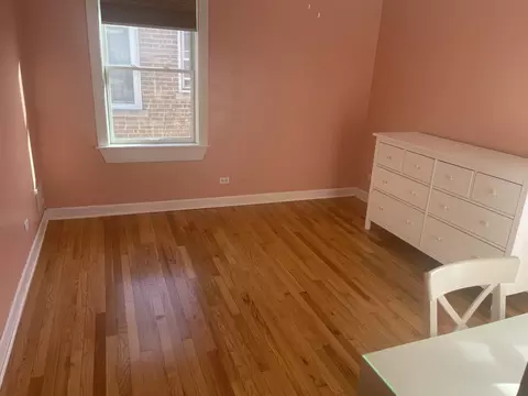 10544 S Springfield Ave, Chicago, IL 60655 photo 24