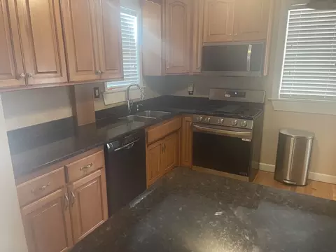 10544 S Springfield Ave, Chicago, IL 60655 photo 13