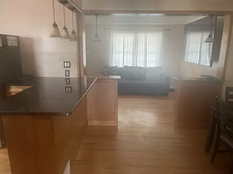 10544 S Springfield Ave, Chicago, IL 60655 photo 8