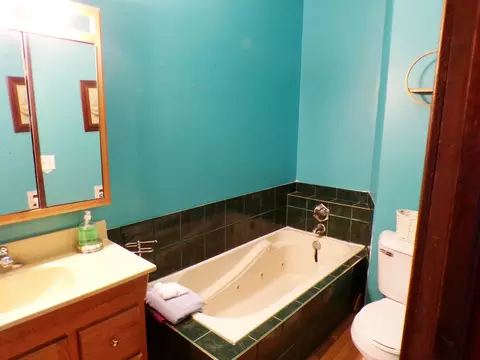 607 E Washington St, Downs, IL 61736 photo 33