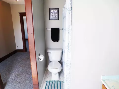 607 E Washington St, Downs, IL 61736 photo 47