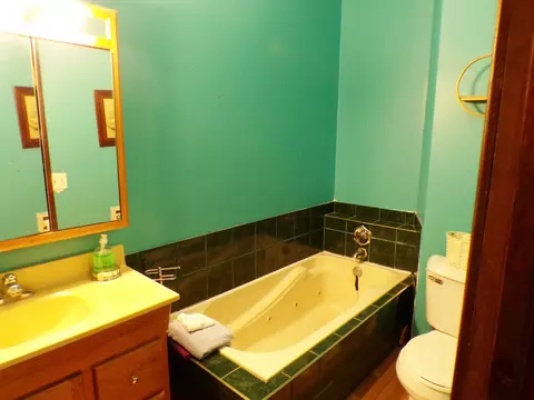 607 E Washington St, Downs, IL 61736 photo 34