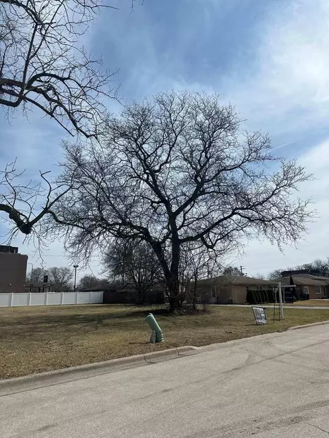 8010 S Oconto Ave, Bridgeview, IL 60455 photo 2