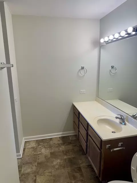 Bath - 960 Annandale Dr, Elgin, IL 60123 photo 4 of 4