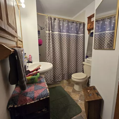 607 S Garfield St, Leaf River, IL 61047 photo 15