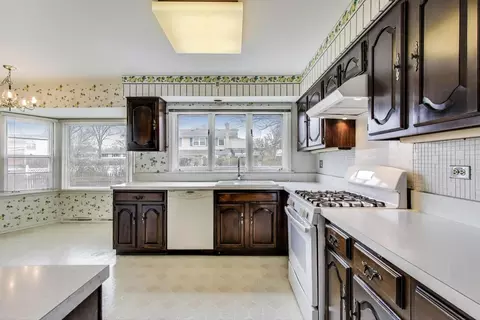 1033 Rolling Pass, Glenview, IL 60025 photo 6
