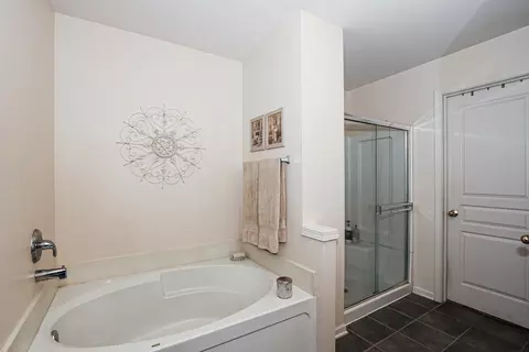 Bath - 9 Pine Grove Ct, Algonquin, IL 60102 photo 3 of 4