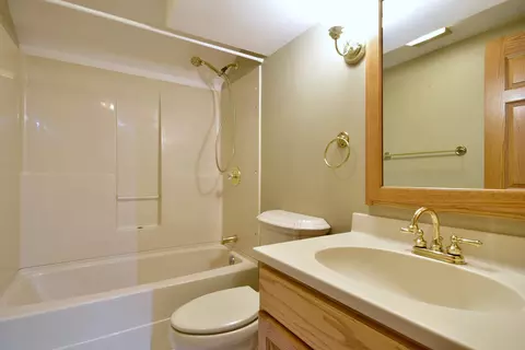 Bath - 310 N Elm St, Itasca, IL 60143 photo 7 of 7