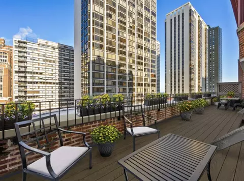 Other - 33 E Bellevue Pl #PH-W7, Chicago, IL 60611 photo 5 of 5