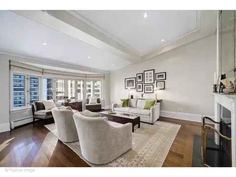 Living - 33 E Bellevue Pl #PH-W7, Chicago, IL 60611 photo 4 of 8