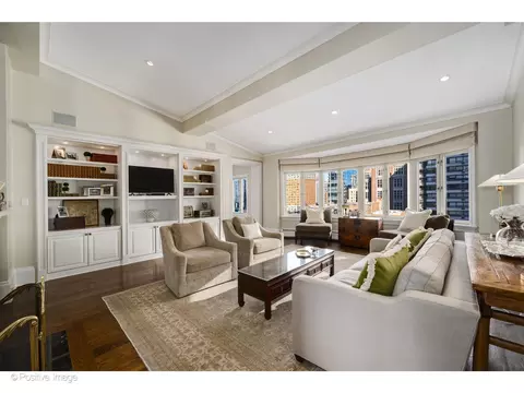 Living - 33 E Bellevue Pl #PH-W7, Chicago, IL 60611 photo 2 of 8