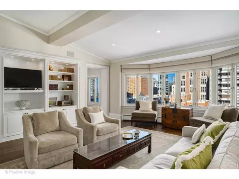 Living - 33 E Bellevue Pl #PH-W7, Chicago, IL 60611 photo 3 of 8
