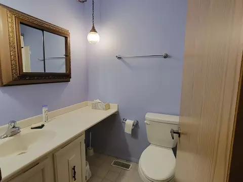3241 Chestnut Dr, Flossmoor, IL 60422 photo 9