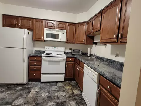 3241 Chestnut Dr, Flossmoor, IL 60422 photo 4