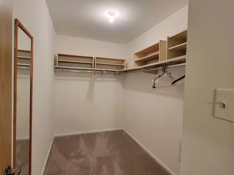 3241 Chestnut Dr, Flossmoor, IL 60422 photo 7
