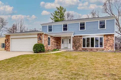1132 Dawes St, Libertyville, IL 60048
