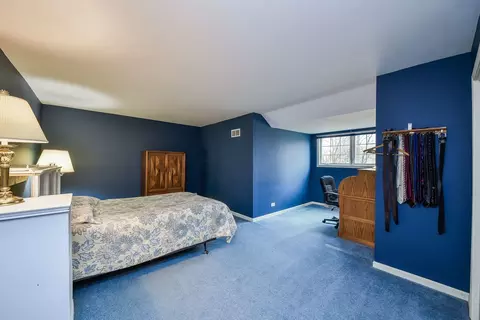 798 E Gartner Rd, Naperville, IL 60540 photo 21