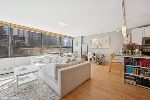 Living - 33 E Cedar St #5C, Chicago, IL 60611 photo 4 of 6