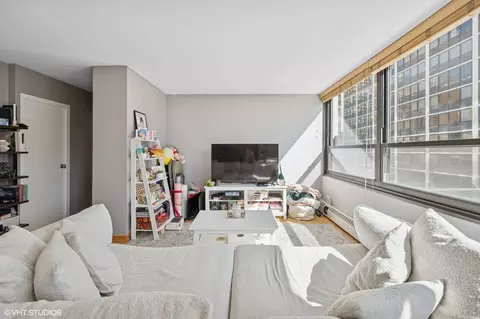 Living - 33 E Cedar St #5C, Chicago, IL 60611 photo 2 of 6