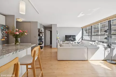 Living - 33 E Cedar St #5C, Chicago, IL 60611 photo 3 of 6
