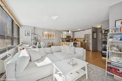 Living - 33 E Cedar St #5C, Chicago, IL 60611 photo 5 of 6