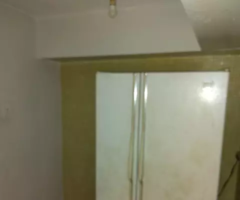 10151 S Hoxie Ave, Chicago, IL 60617 photo 10