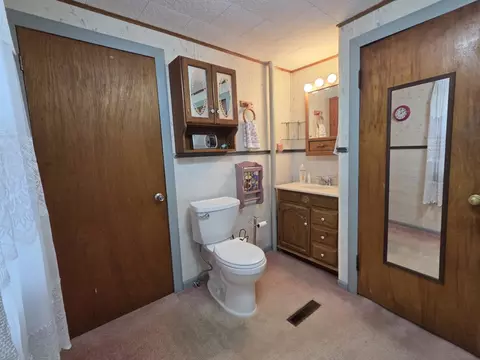 303 E First St, Leaf River, IL 61047 photo 13
