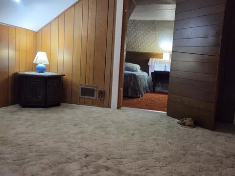 303 E First St, Leaf River, IL 61047 photo 18